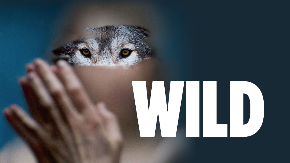 Wild | poster HorizontalMini