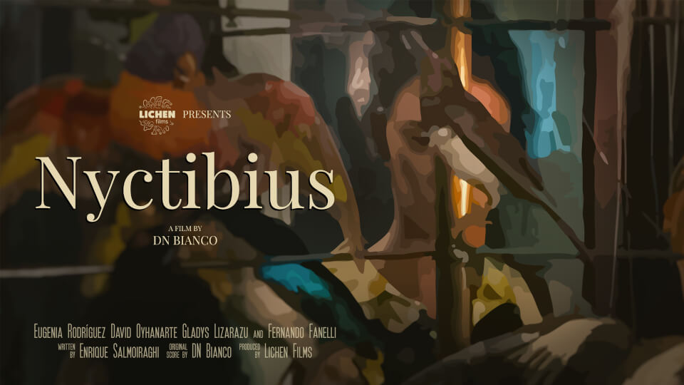 Nyctibius | poster HorizontalMini